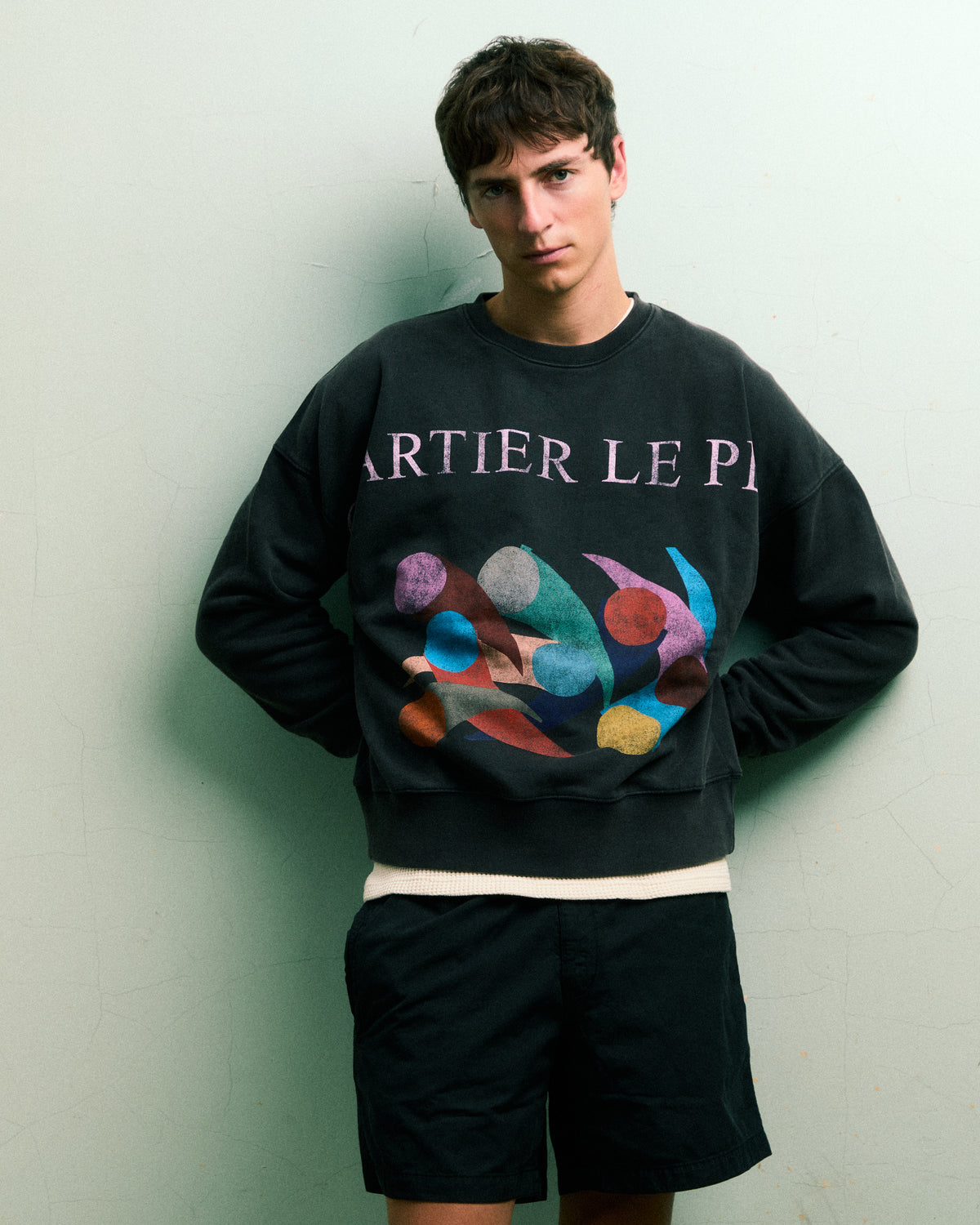 Carrau Sweatshirt image