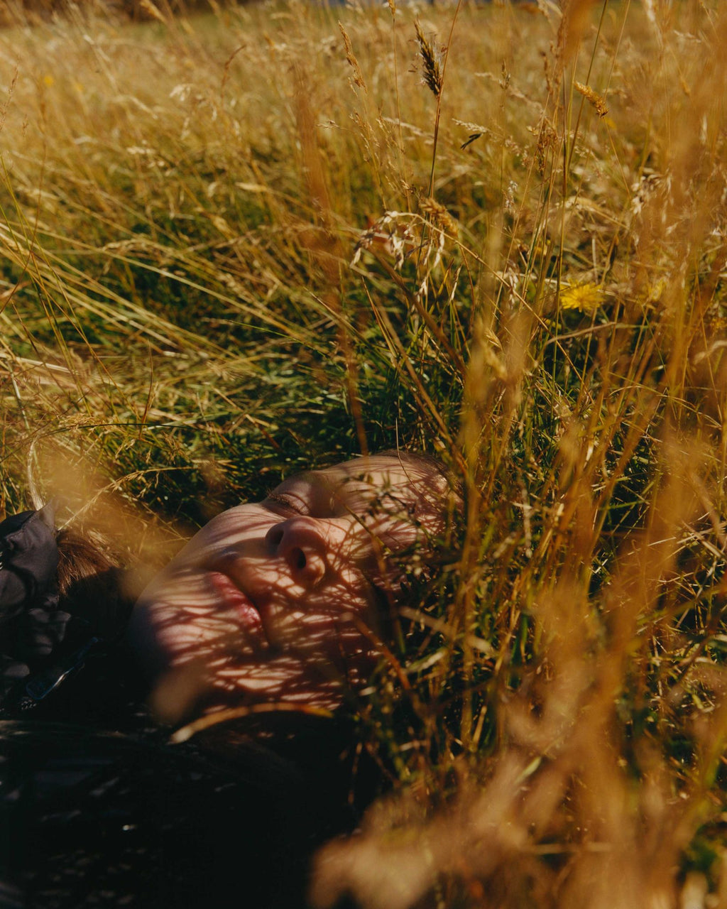 Suddenly and Somehow Brighter — Joe Perri