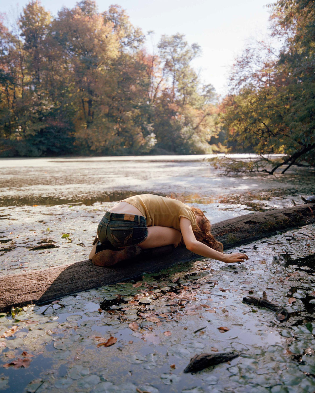 Beneath the Late Sun — Sierra Petrocelli image