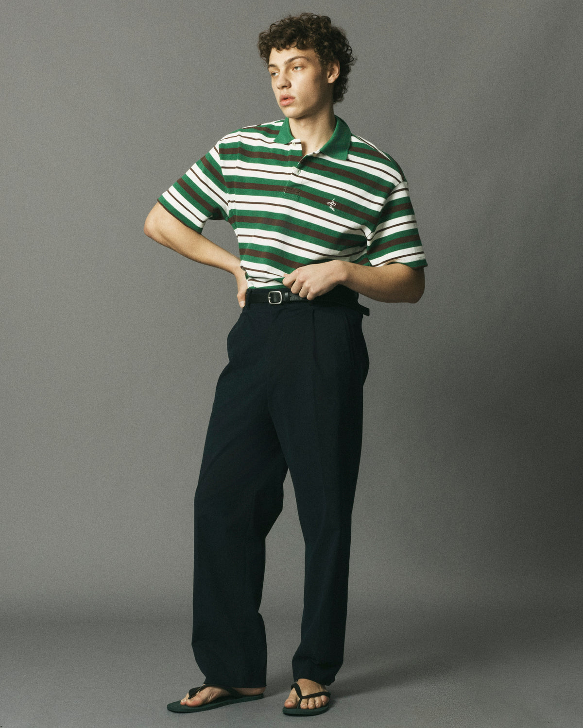 Striped Polo image