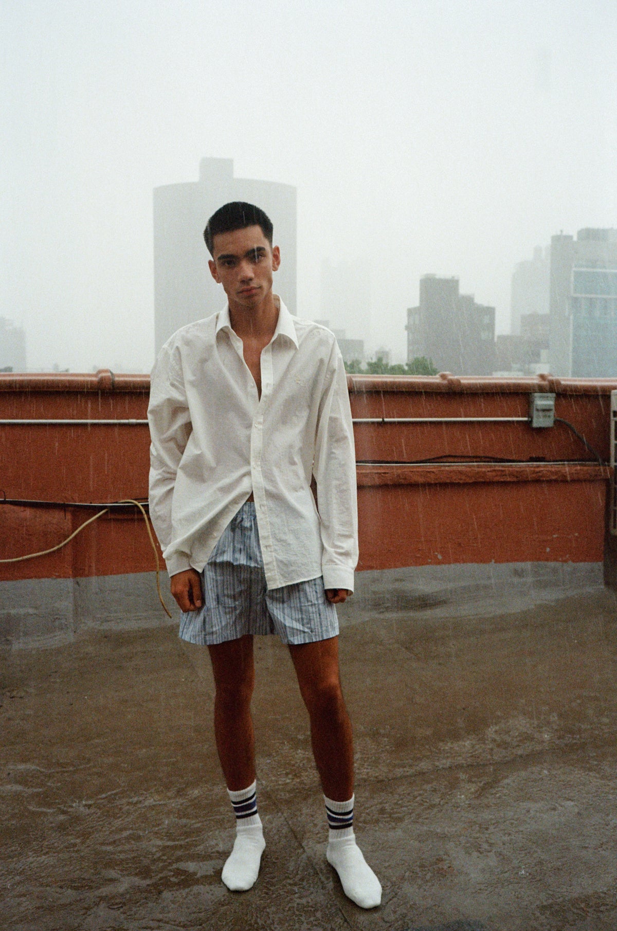 PERENNIAL BUTTON DOWN image